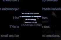የእይታ ፓራዶክስ - መጽሐፍ ካቬ