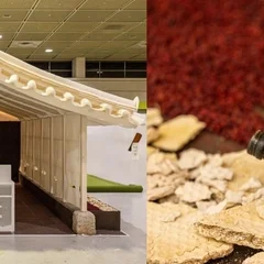 Korea's Thousand-Year Breath (Hanji & Nuruk) Seeps into Our Living Rooms... Traditional Liquor Baekseju, a Radiant Everyday Connection