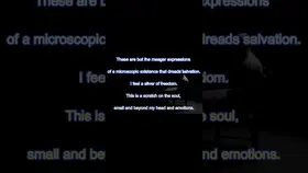 የእይታ ፓራዶክስ - መጽሐፍ ካቬ