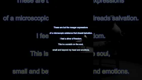 The Paradox of the Gaze -Magazine Kave