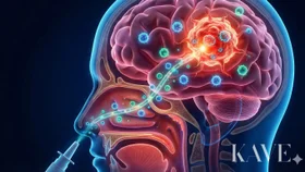 Precision Treatment of Glioblastoma through Intranasal Delivery of Adoptive Immune Cells: Innovative Protocol by Professor Ahn's Team at Seoul St. Mary's Hospital