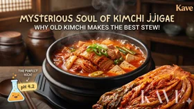The Mysterious Soul of Kimchi Jjigae: Why Old Kimchi Makes the Best Stew