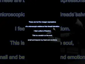 የእይታ ፓራዶክስ - መጽሐፍ ካቬ