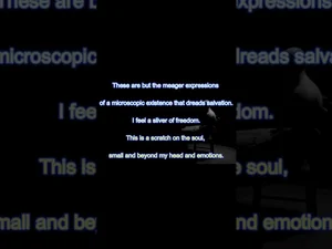 The Paradox of the Gaze - Magazine Kave