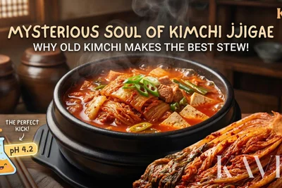 The Mysterious Soul of Kimchi Jjigae: Why Old Kimchi Makes the Best Stew