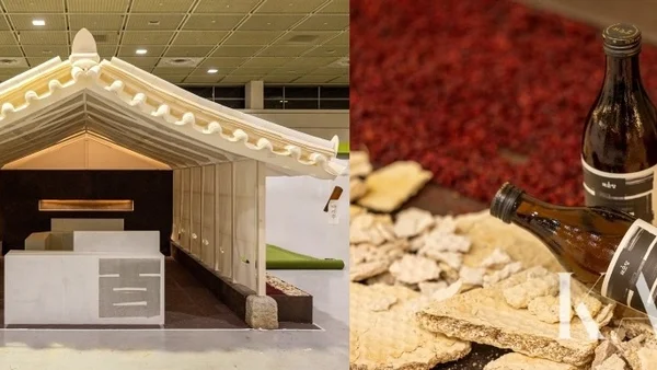 천 년을 견딘 '숨'이 우리의 거실로 스며들 때… 전통주, 일상의 찬란한 교감이 되다