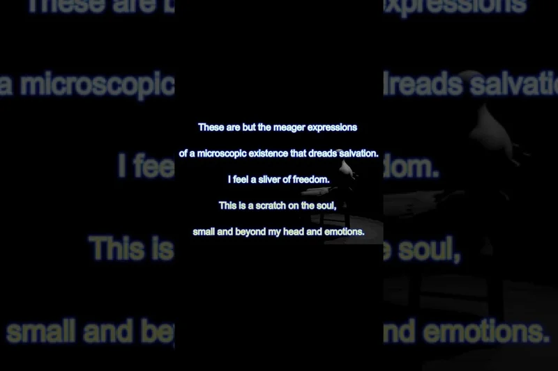 የእይታ ፓራዶክስ - መጽሐፍ ካቬ